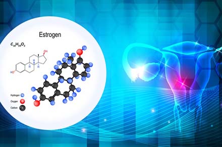 الاستروجين ماهو تحليل الهرمونات
