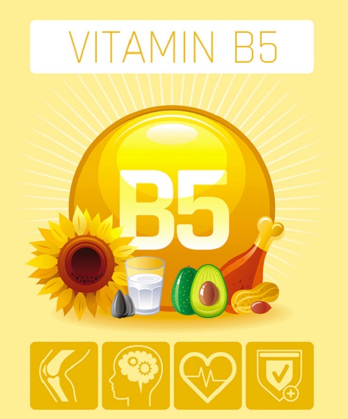 فيتامين B5