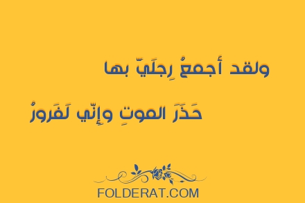 قصيدة الشاعر عمرو بن معد يكرب. ولقد أجمعُ رِجلَيَّ بها