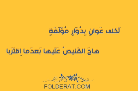 قصيدة الشاعرعمرو الباهلي.ثَكلى عَوانٍ بِدُوّارٍ مُؤَلَّفَةٍ