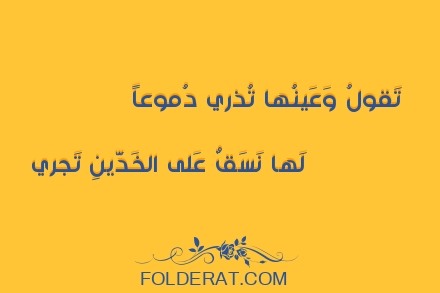 قصيدة الشاعر عمر بن أبي ربيعة . تَقولُ وَعَينُها تُذري دُموعاً